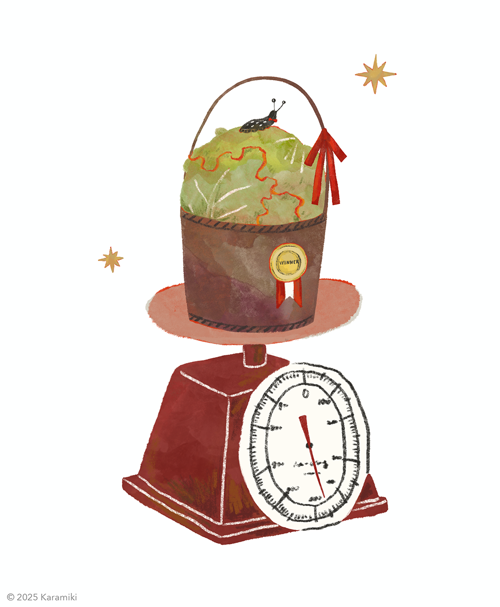 ナメクジによるレタス品評会のイラスト