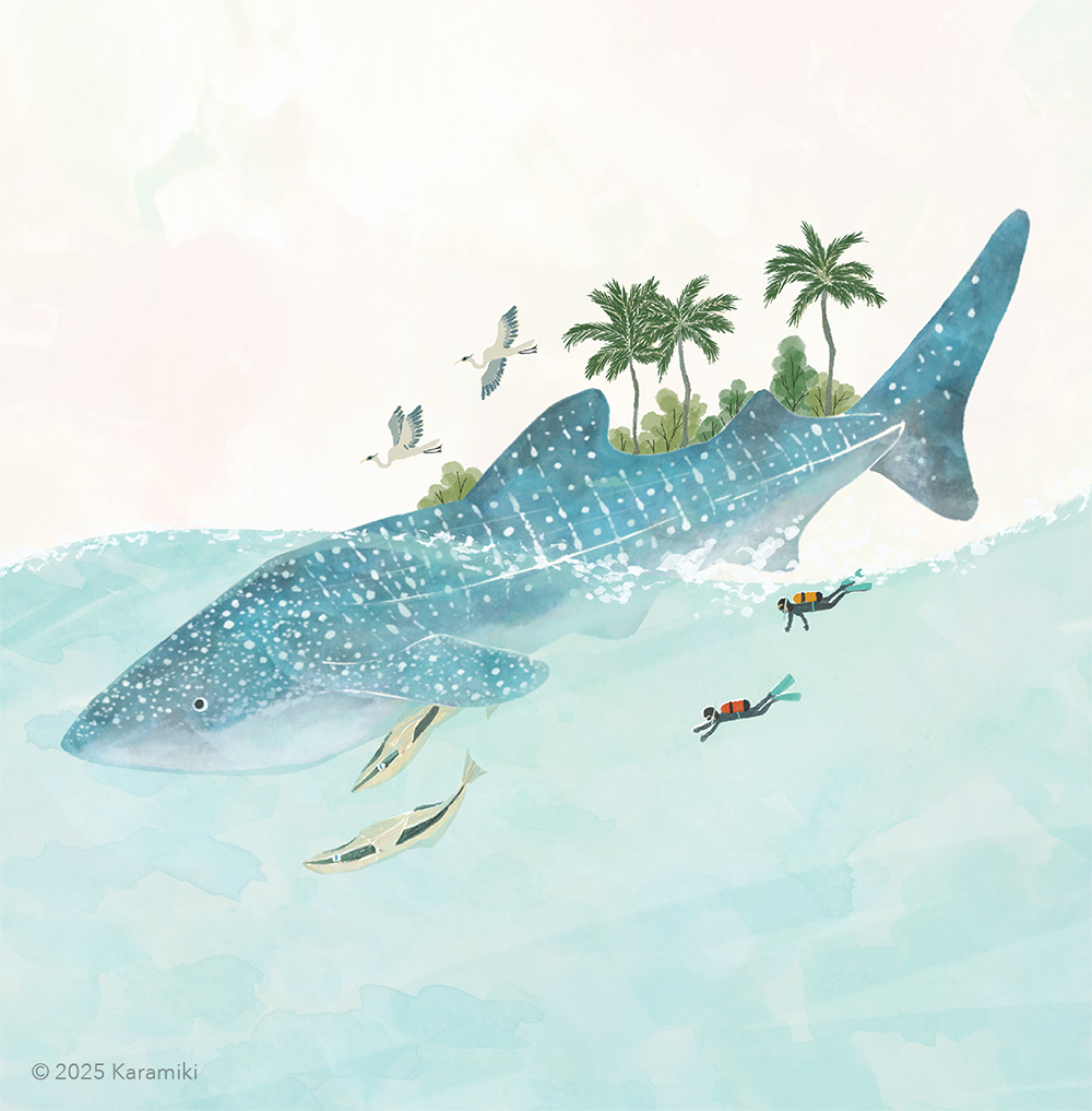 ジンベエザメと海、アオサギ、コバンザメのイラスト